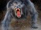 Lycans avatar