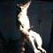 josip_ds avatar